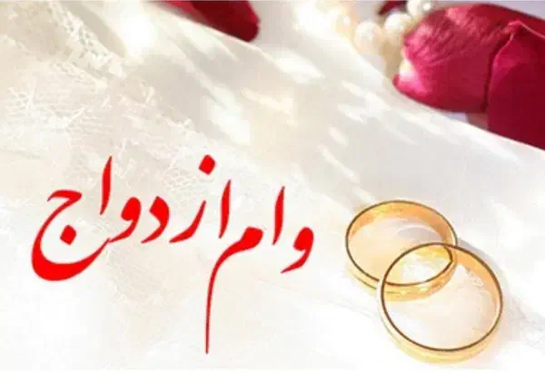 تعیین شعبه و فروش وام|فعالیت داوطلبانه|کرمانشاه, |دیوار