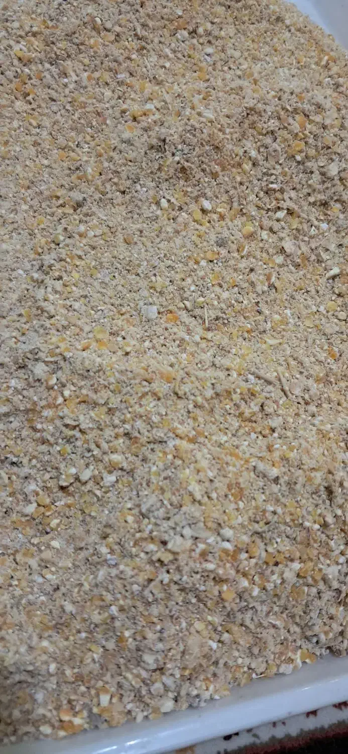 دان بوقلمون|حیوانات مزرعه|مبارکه, |دیوار