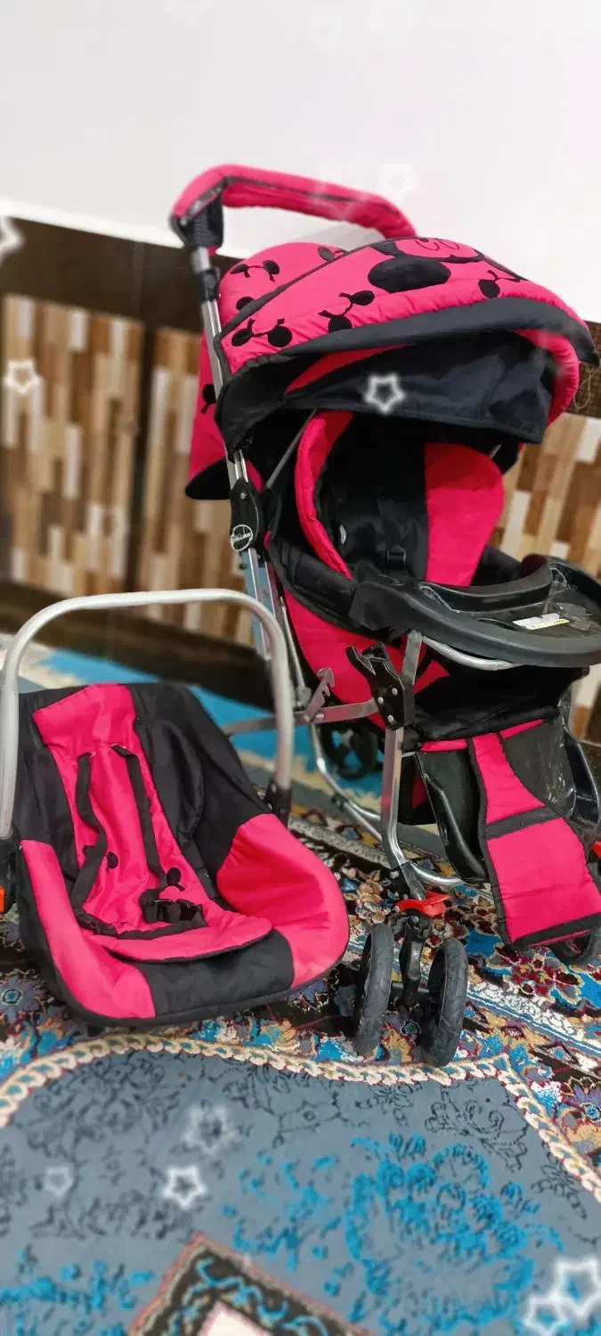 کالسکه|کالسکه و لوازم جانبی|تربت جام, جامی|دیوار