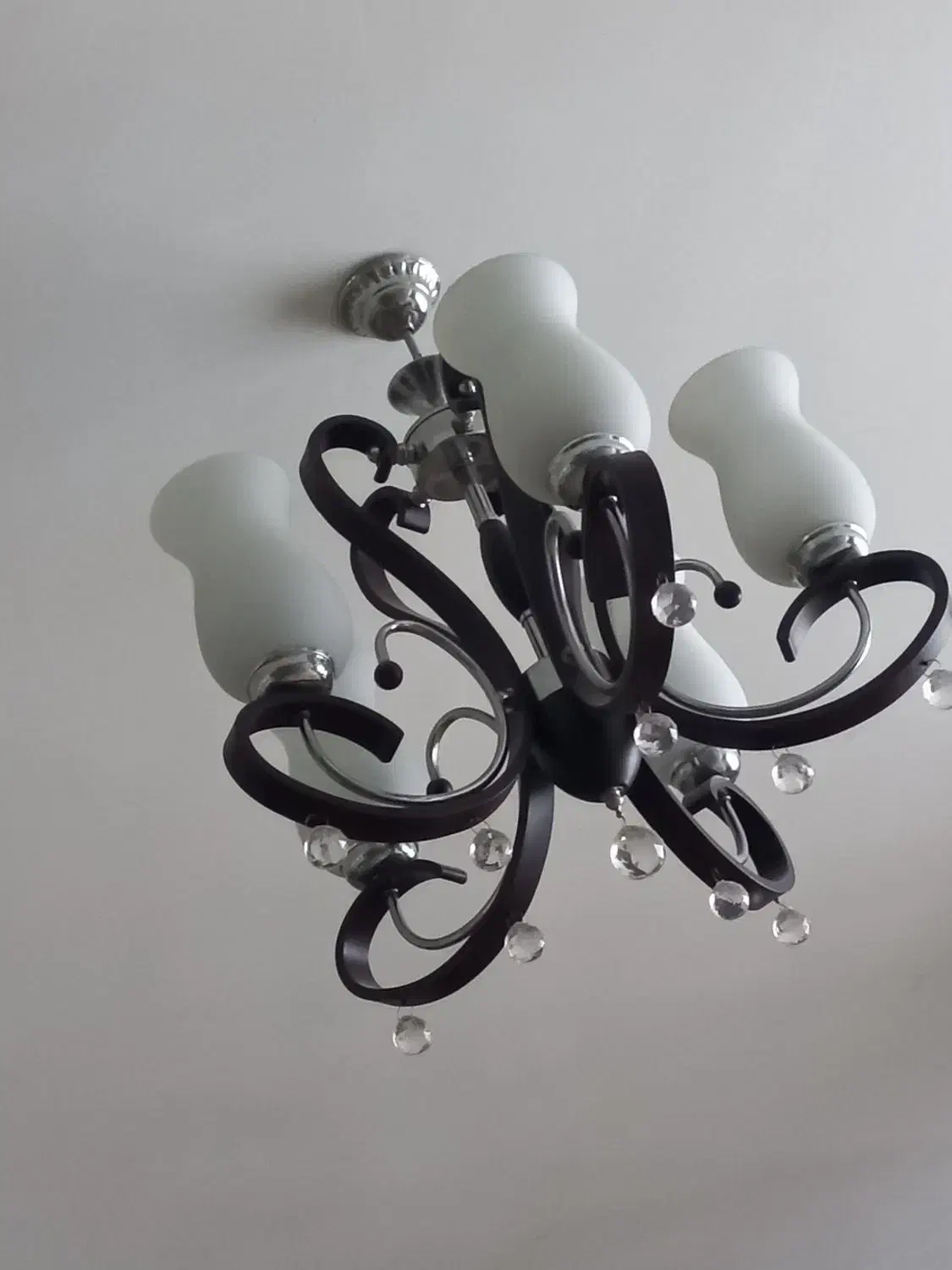 لوستر|لوستر و چراغ آویز|شیراز, لاله|دیوار