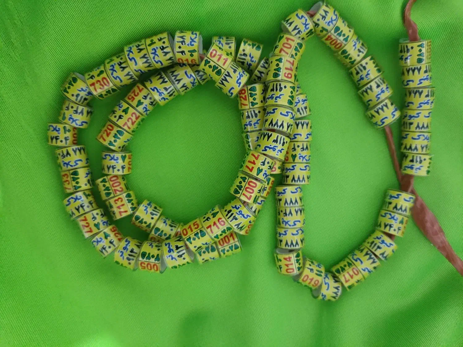 ۱۱ پلاک کبوتر برای انواع کفتر یازده...|لوازم جانبی حیوانات|رشت, بازار|دیوار