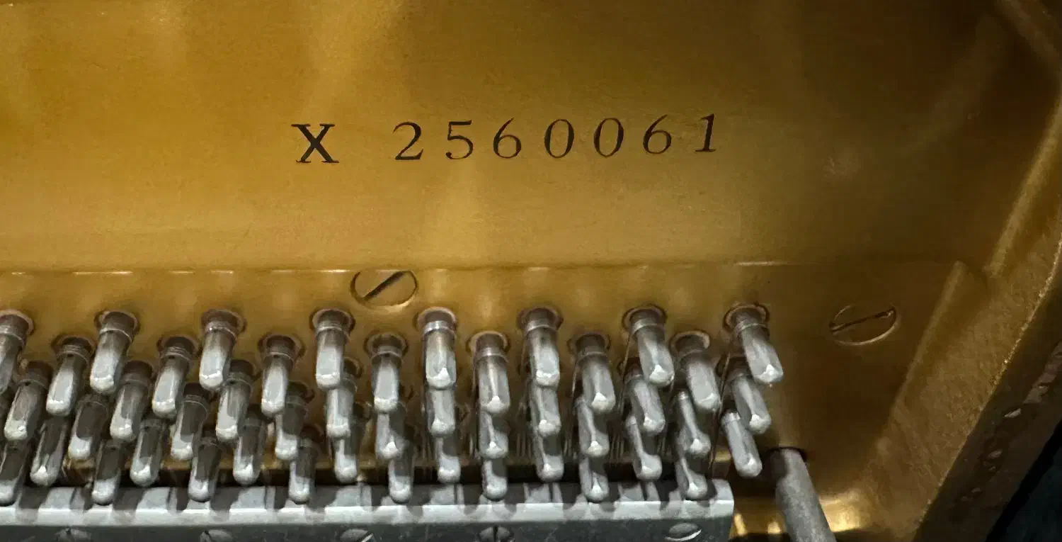 پیانو آکوستیک دیواری یاماها ارتفاع ۱۳۱ سری x|پیانو، کیبورد، آکاردئون|شیراز, قصرالدشت|دیوار