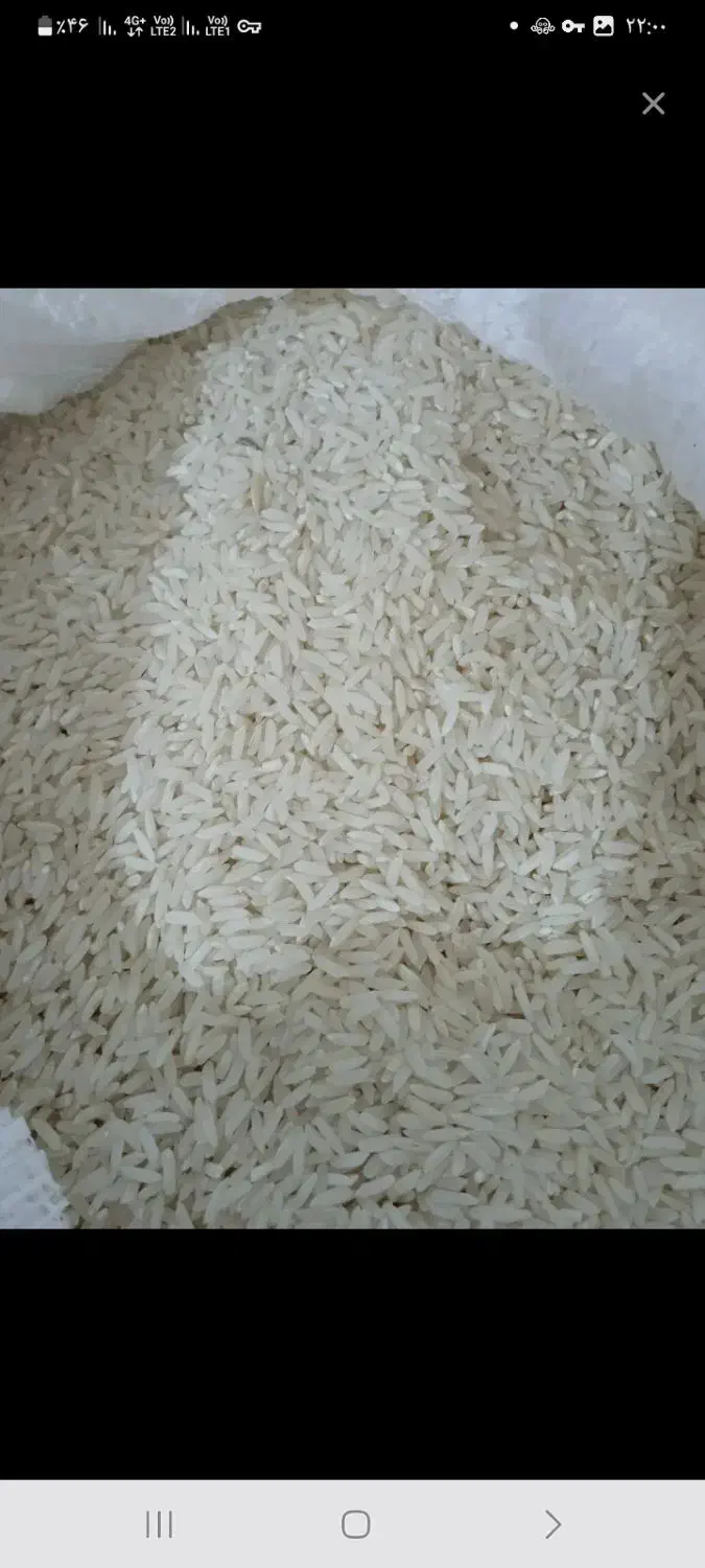 برنج|خوردنی و آشامیدنی|گیلان غرب, |دیوار