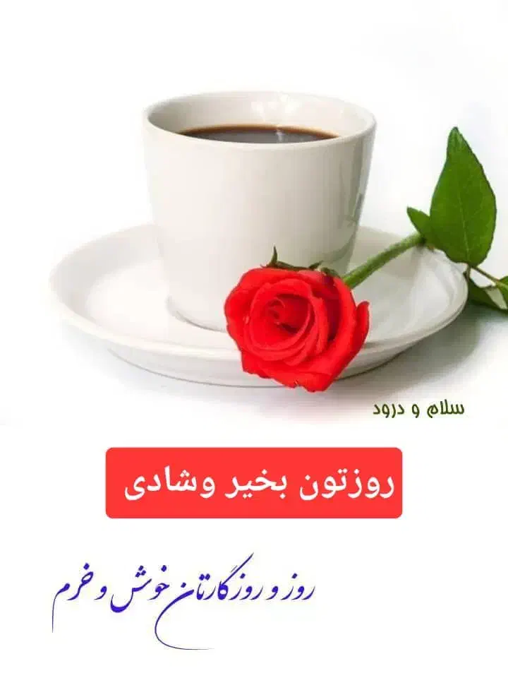 شرکت خدمات نظافتی اریاگسترکهن|خدمات نظافت|صدرا-فارس, فاز ۲|دیوار