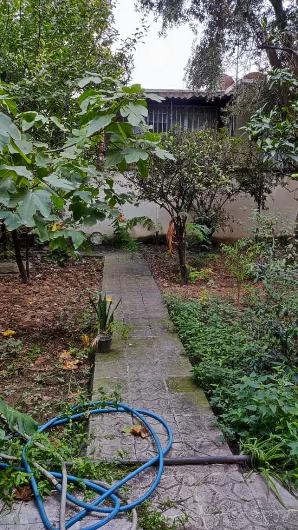 مشارکت در ساخت کوی گلشن|مشارکت در ساخت املاک|ساری, |دیوار