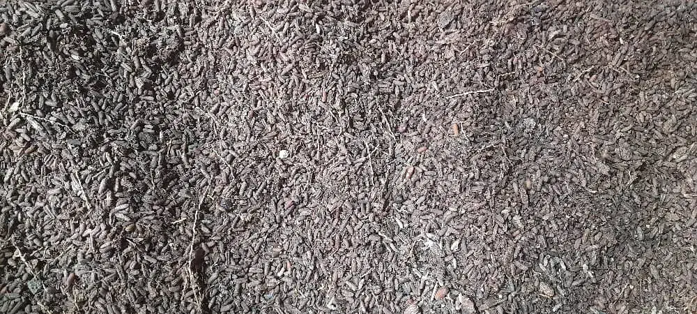 علف در شادگان الفلاحیه|عمدهفروشی|شادگان, |دیوار