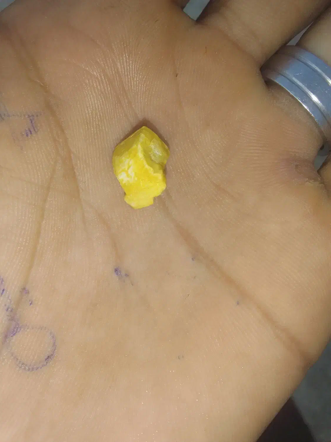 موره خر|بدلیجات|زابل, |دیوار