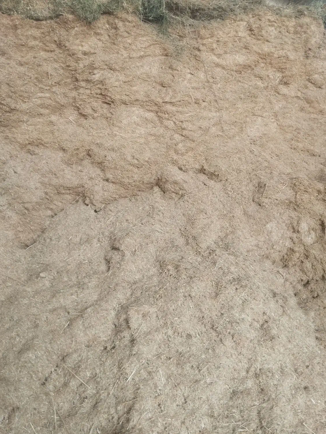 کاه نرم|خدمات باغبانی و درختکاری|سیرجان, |دیوار