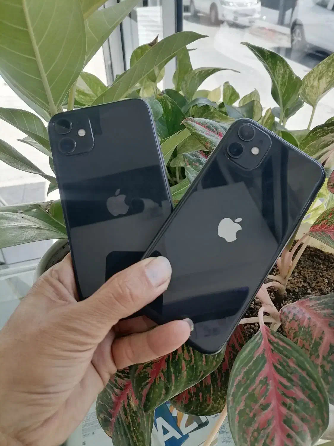 اپل iPhone 11 با حافظهٔ ۱۲۸ گیگابایت|موبایل|نیشابور, امام خمینی|دیوار