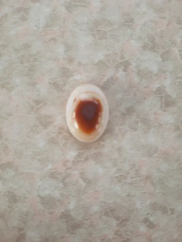 سنگ سلیمانی|کلکسیون اشیاء عتیقه|اهواز, فولادشهر|دیوار