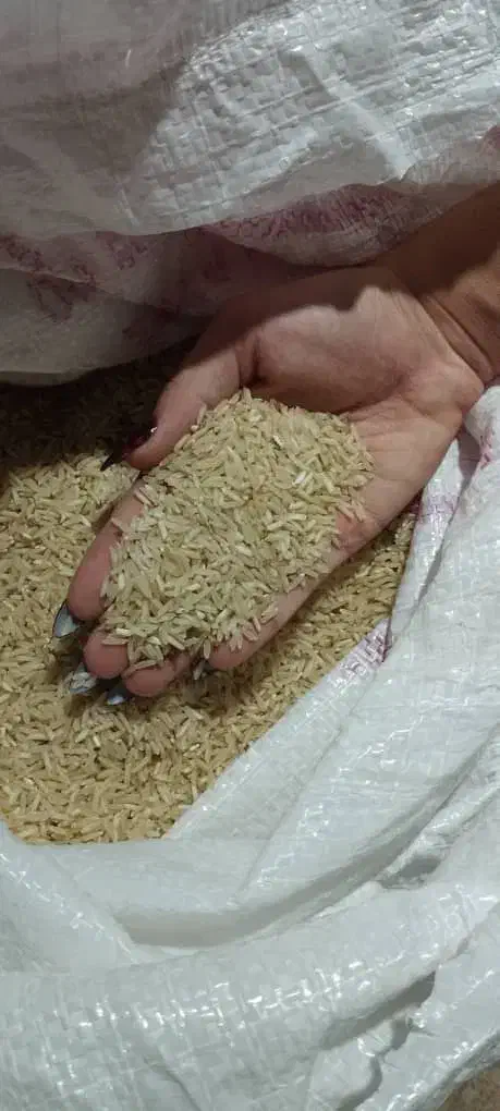 برنج ایرانی|خوردنی و آشامیدنی|مهربان, |دیوار