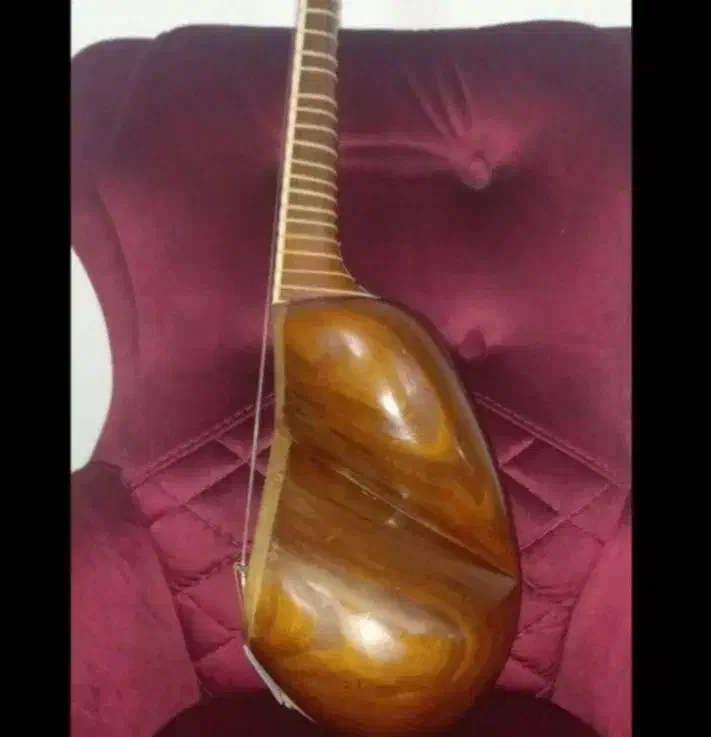 تار داریوش دو مهر|سازهای سنتی|قائمشهر, |دیوار