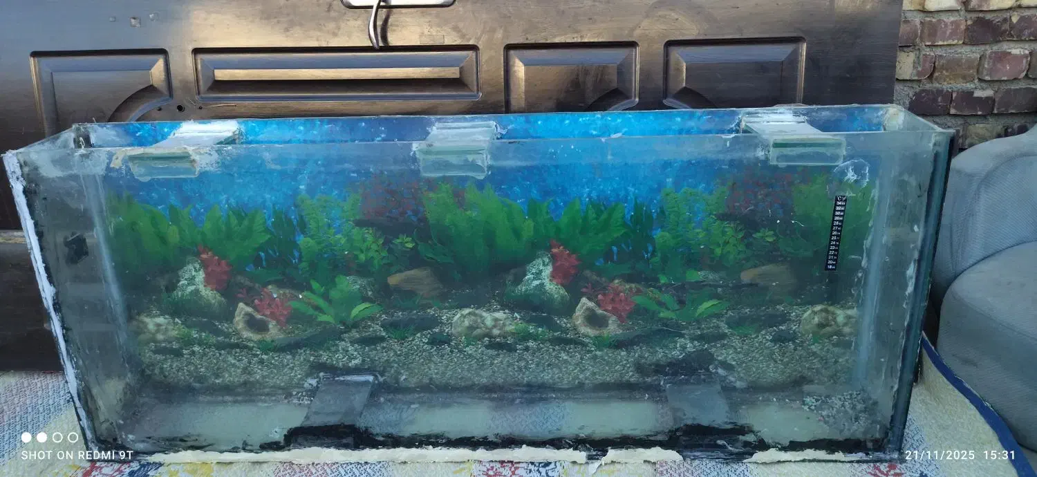 اکواریوم|ماهی|تربت جام, اسماعیل آباد|دیوار