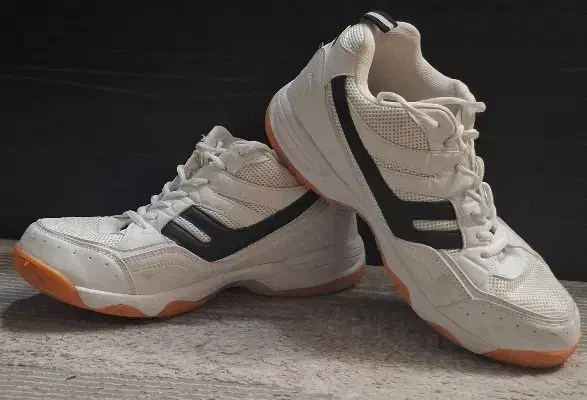 کفش Fوالیبال|تجهیزات ورزشی|دماوند, گیلاوند|دیوار