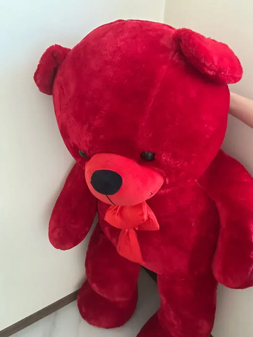 ولنتاین|پرده، رانر، رومیزی|کرج, شهرک بنفشه|دیوار