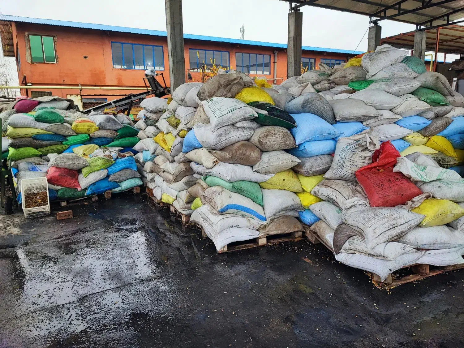 پخش کشمش|خوردنی و آشامیدنی|تبریز, |دیوار