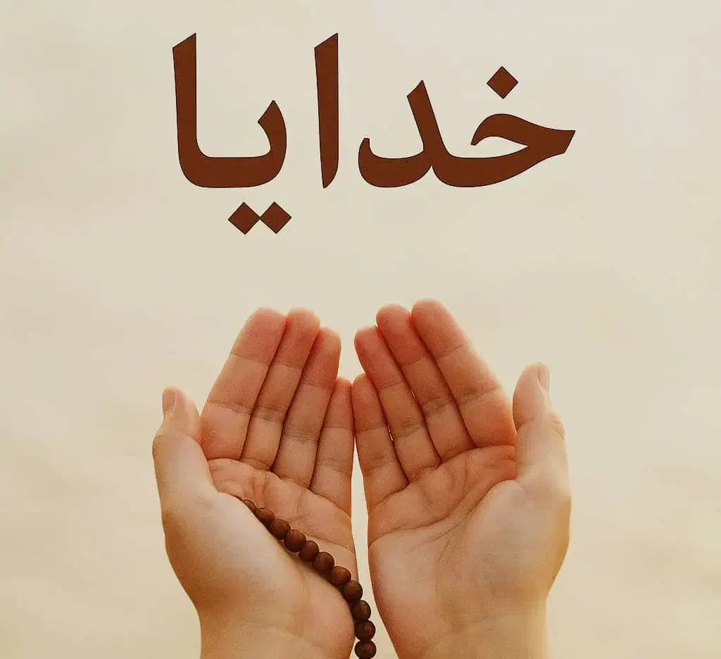 دعامیدم ضمانتی|فعالیت داوطلبانه|خاش, |دیوار