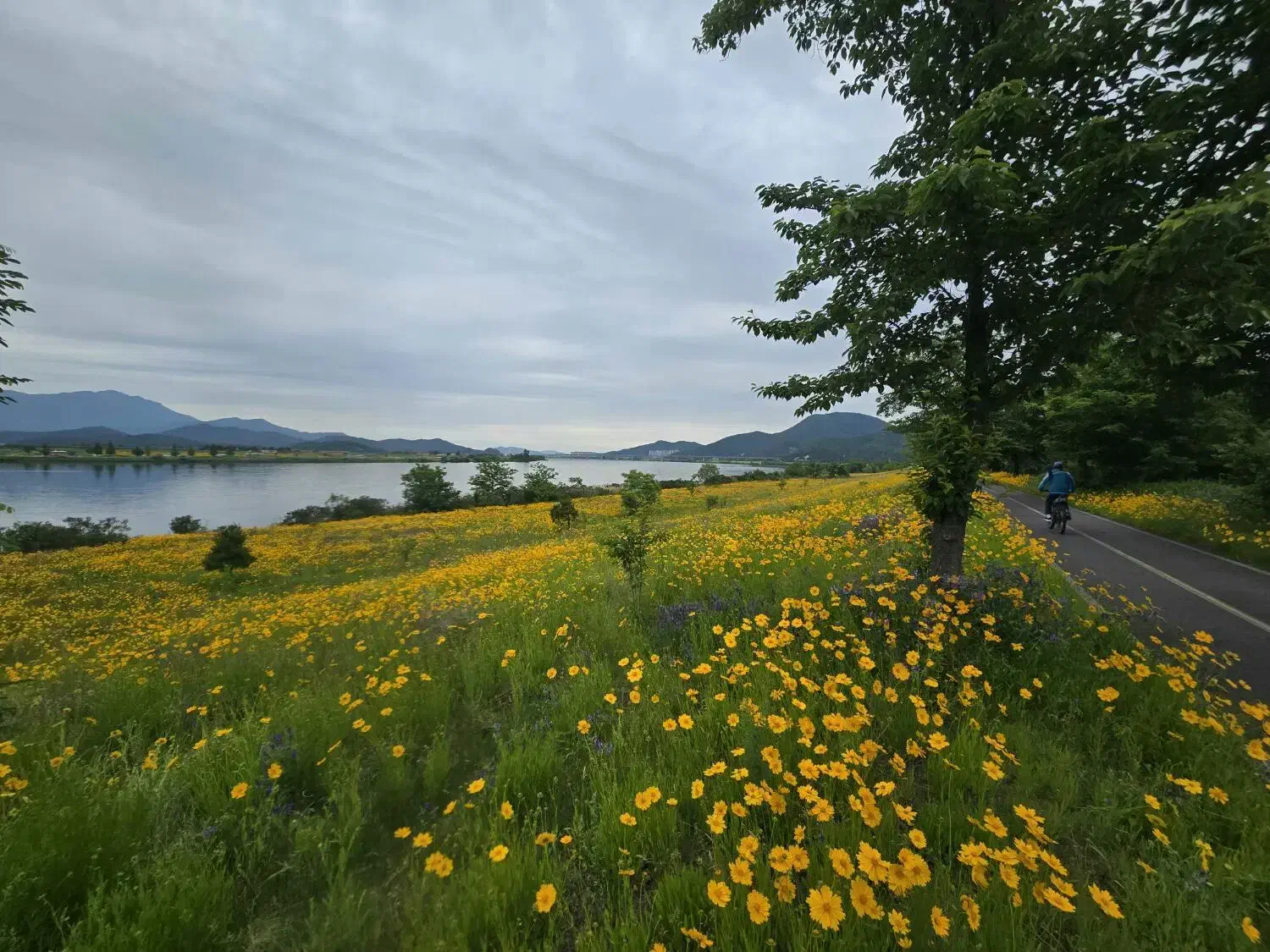 نیازمند نامه تمکن مالی|فعالیت داوطلبانه|بندر گناوه, |دیوار