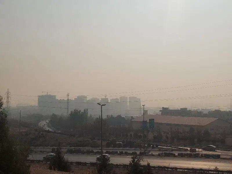 راهنمایی|فعالیت داوطلبانه|گرگان, |دیوار