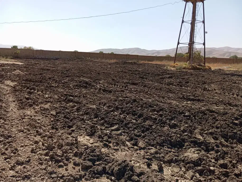 کود مرغی قفسی تخمگذار|خدمات باغبانی و درختکاری|خرمدره, |دیوار