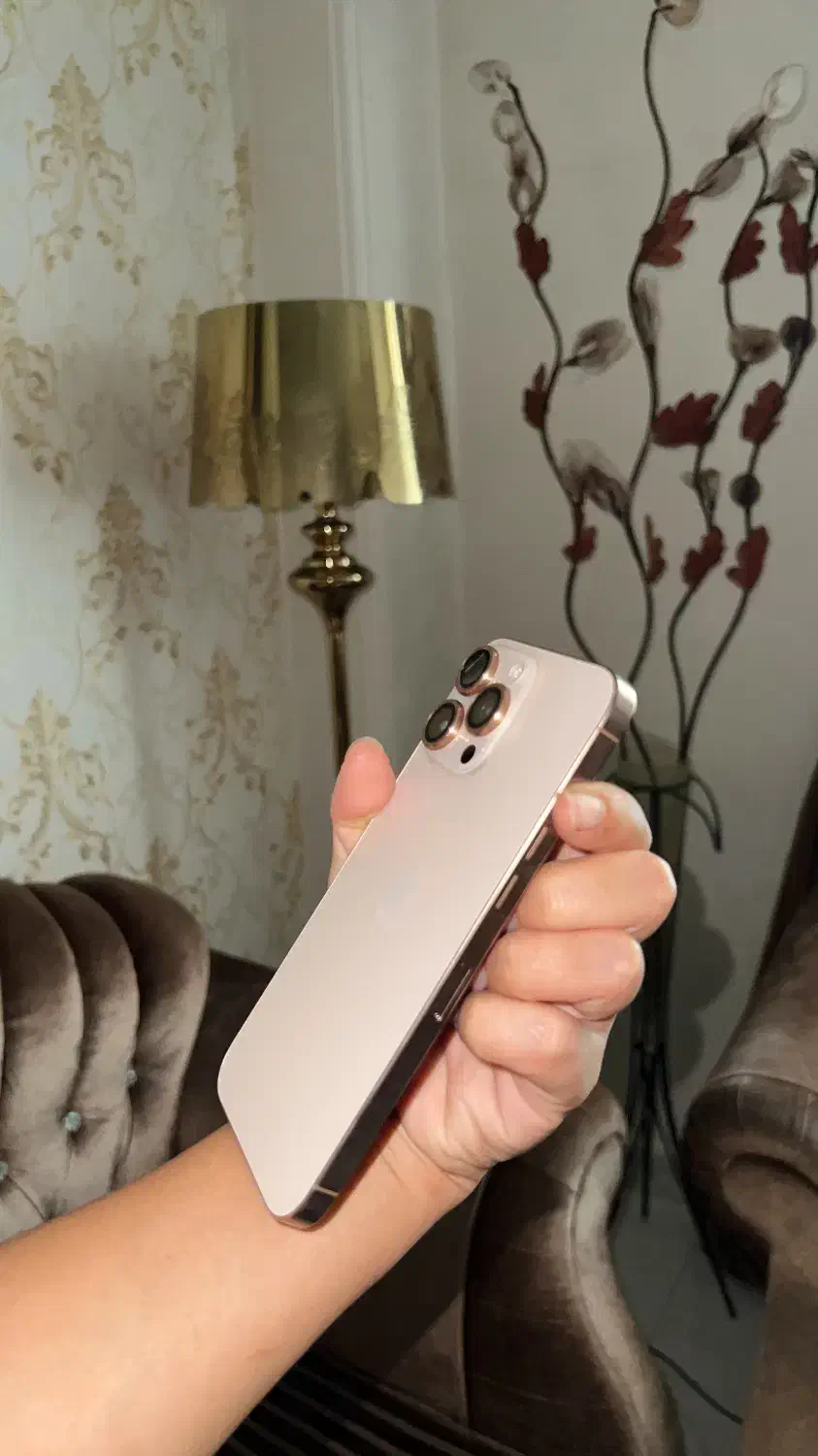 ۱۶پرومکس کاملا نو فقط انباکس شده با ضمانت|موبایل|رشت, بلوار گیلان|دیوار