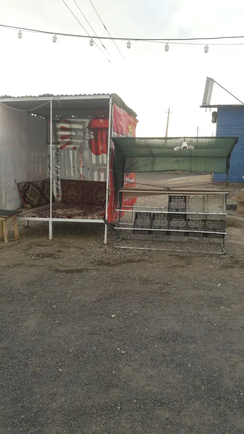 آلاچیق تخت استند میوه وغیره|کافیشاپ و رستوران|تاکستان, |دیوار