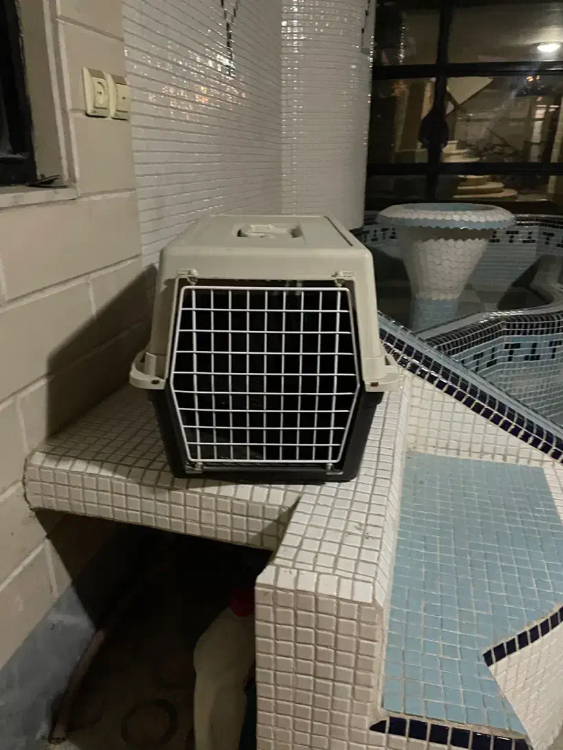 باکس سگ و گربه|لوازم جانبی حیوانات|کرج, فاز ۲ مهرشهر|دیوار