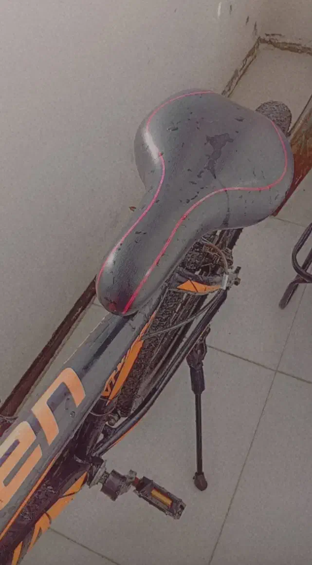 دوچرخه ۲۶|دوچرخه، اسکیت، اسکوتر|پرند, فاز ۴|دیوار