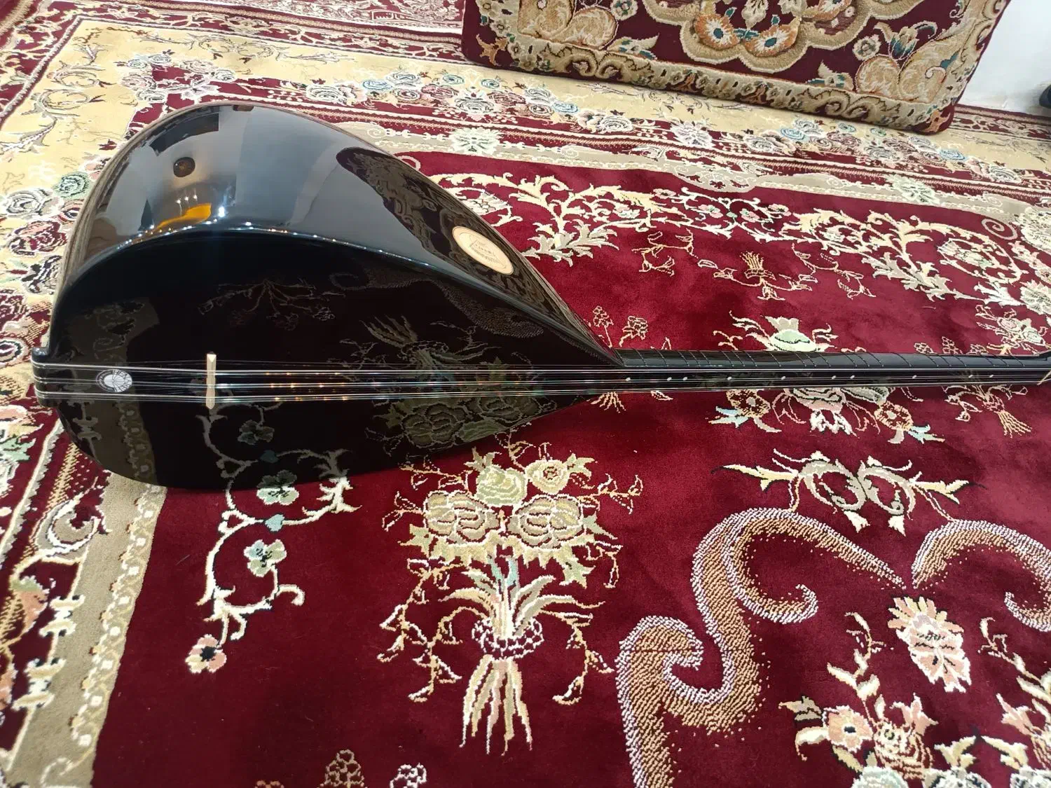 ساز دیوان حرفهای|سازهای سنتی|سنندج, |دیوار