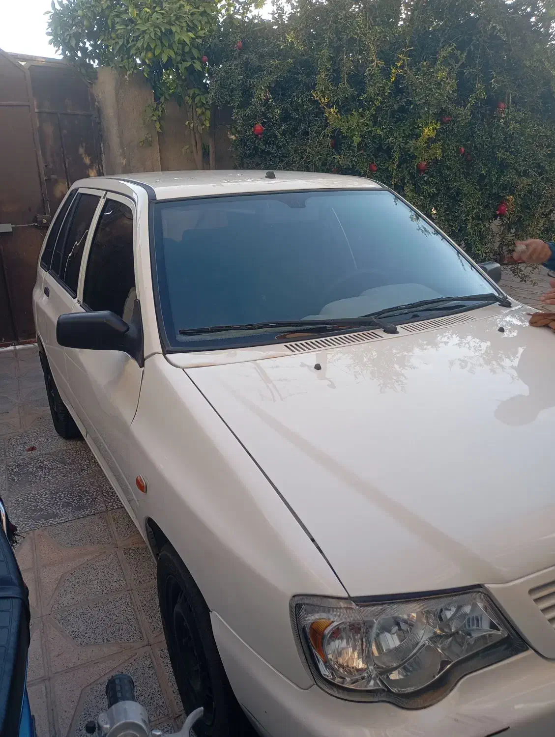 فروش فوری 111|خودرو سواری و وانت|فیروزآباد (فارس), |دیوار