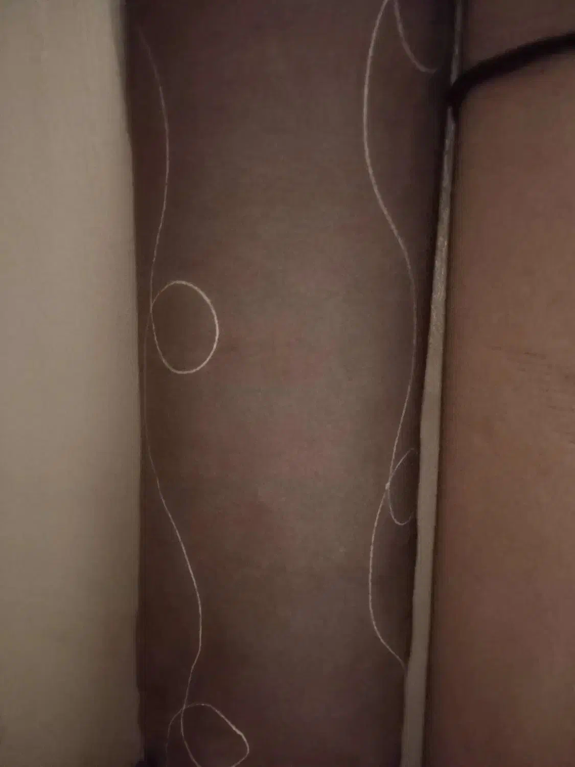 موکت|موکت|گرگان, |دیوار