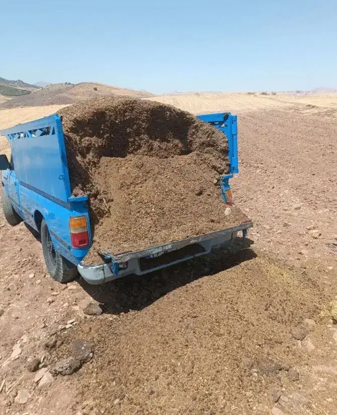 کودحیوانیگوسفندکهنه|خدمات باغبانی و درختکاری|نورآباد, |دیوار