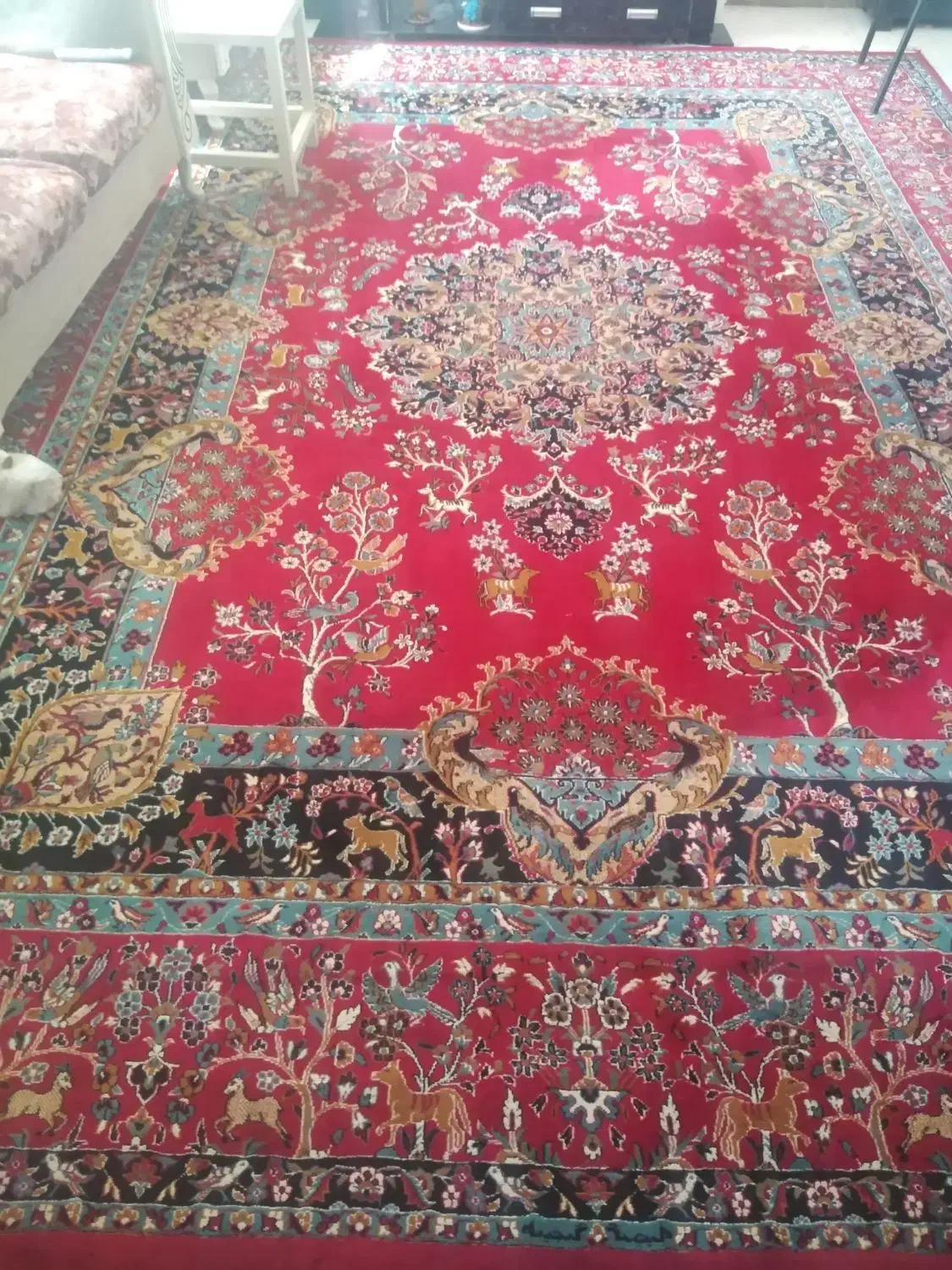 فرش گنجینه|فرش|محمدیه-قزوین, |دیوار