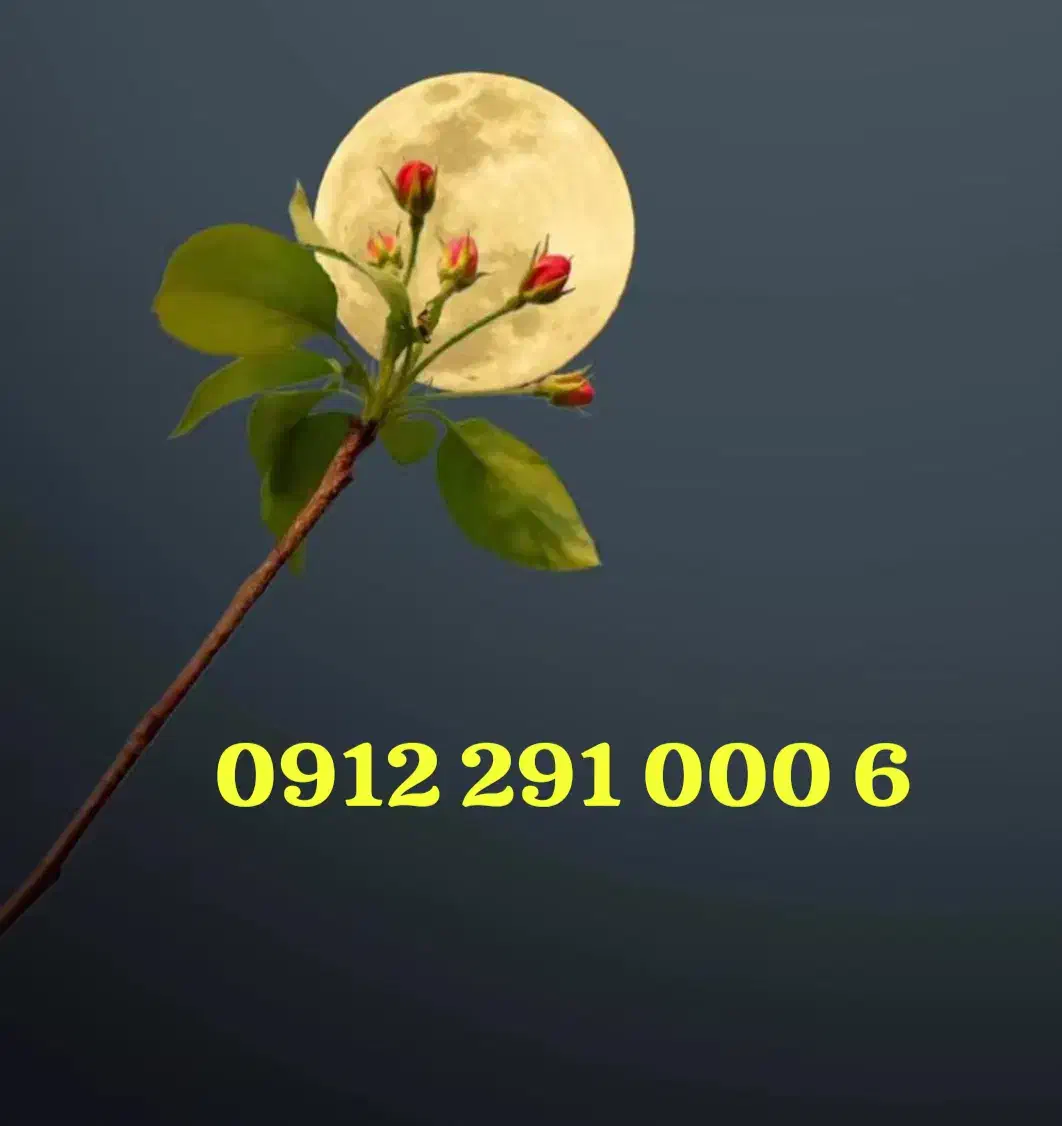 09122910006|سیم‌کارت|تهران, نمایشگاه بین المللی|دیوار