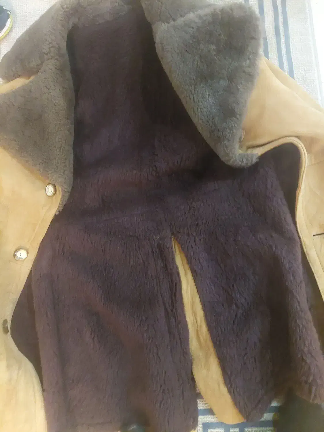 پالتو پوست|لباس|کرج, عظیمیه|دیوار