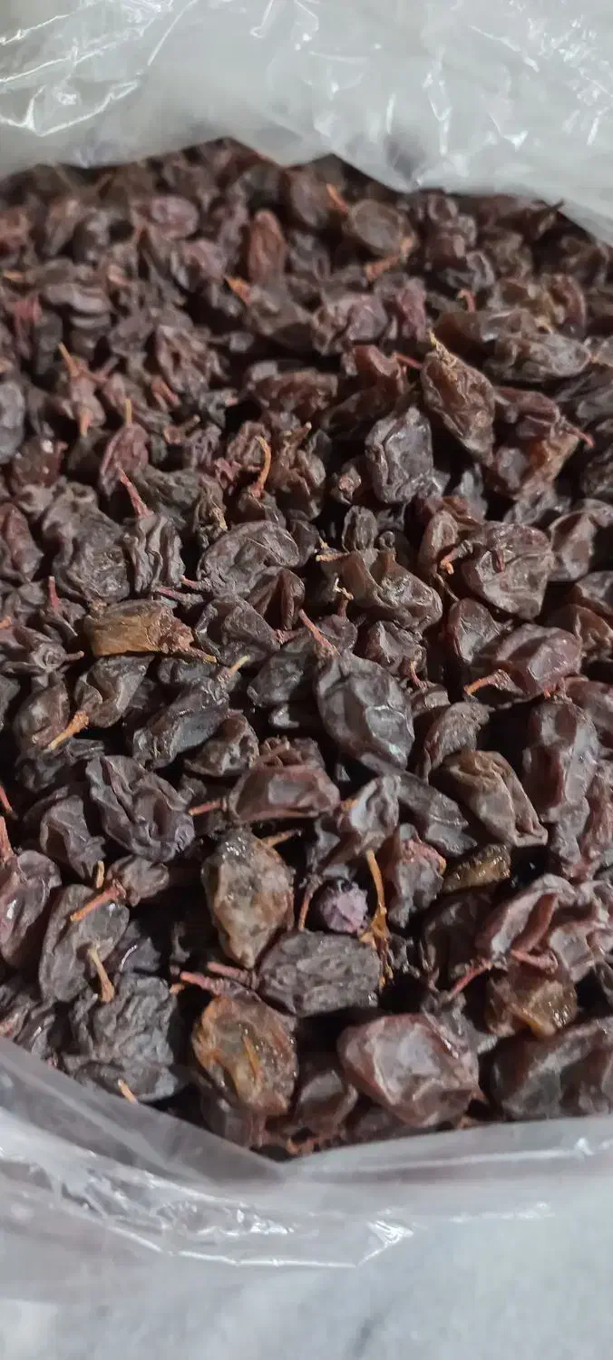 کشمش افتابی|خوردنی و آشامیدنی|رباطکریم, نصیرشهر|دیوار