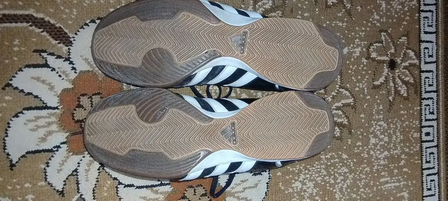 کفش سالن|کیف، کفش، کمربند|فردوس (خراسان), |دیوار