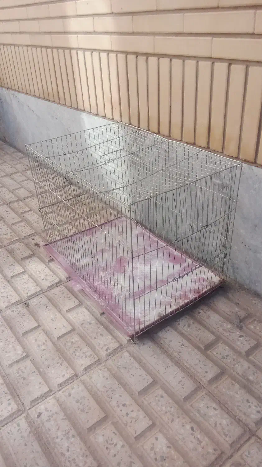 قفس|لوازم جانبی حیوانات|فولادشهر, B2|دیوار