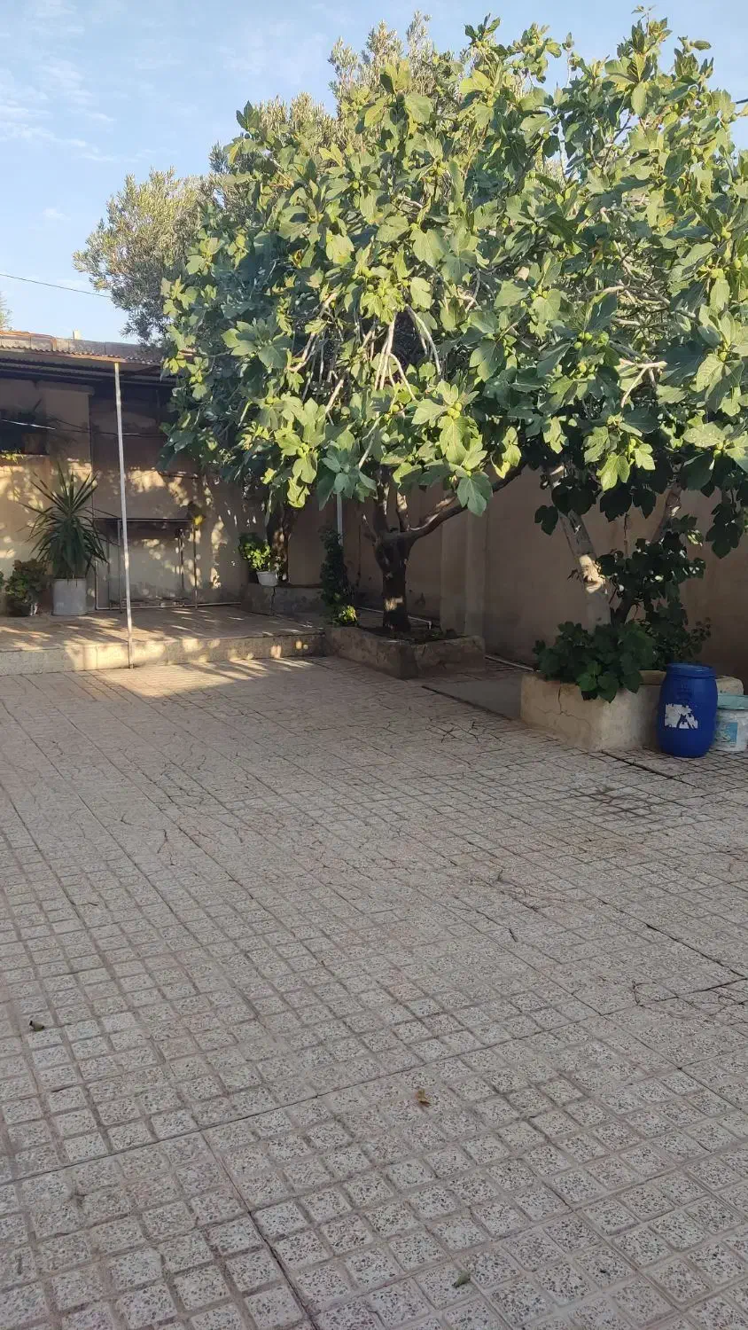 فروش خانه ویلایی|فروش خانه و ویلا|منجیل, |دیوار