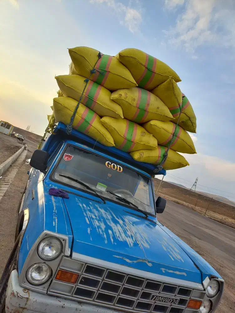 باسلام|حراج|هشترود, |دیوار