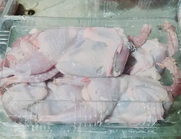 بلدرچین ارگانیک|عمده‌فروشی|بابل, |دیوار