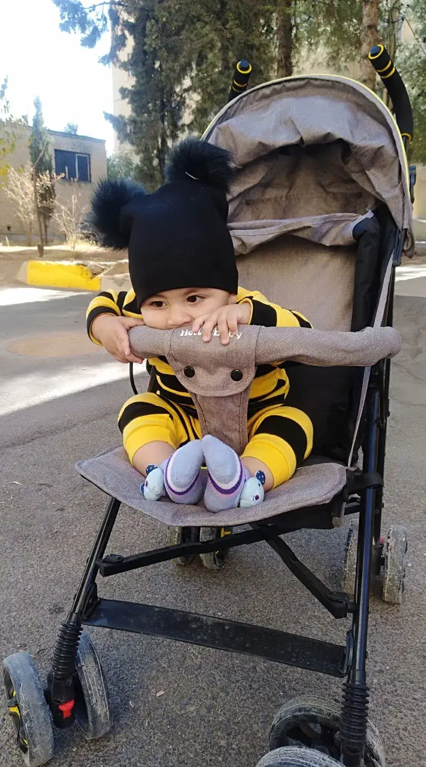 کالسکه عصایی|کالسکه و لوازم جانبی|کازرون, |دیوار