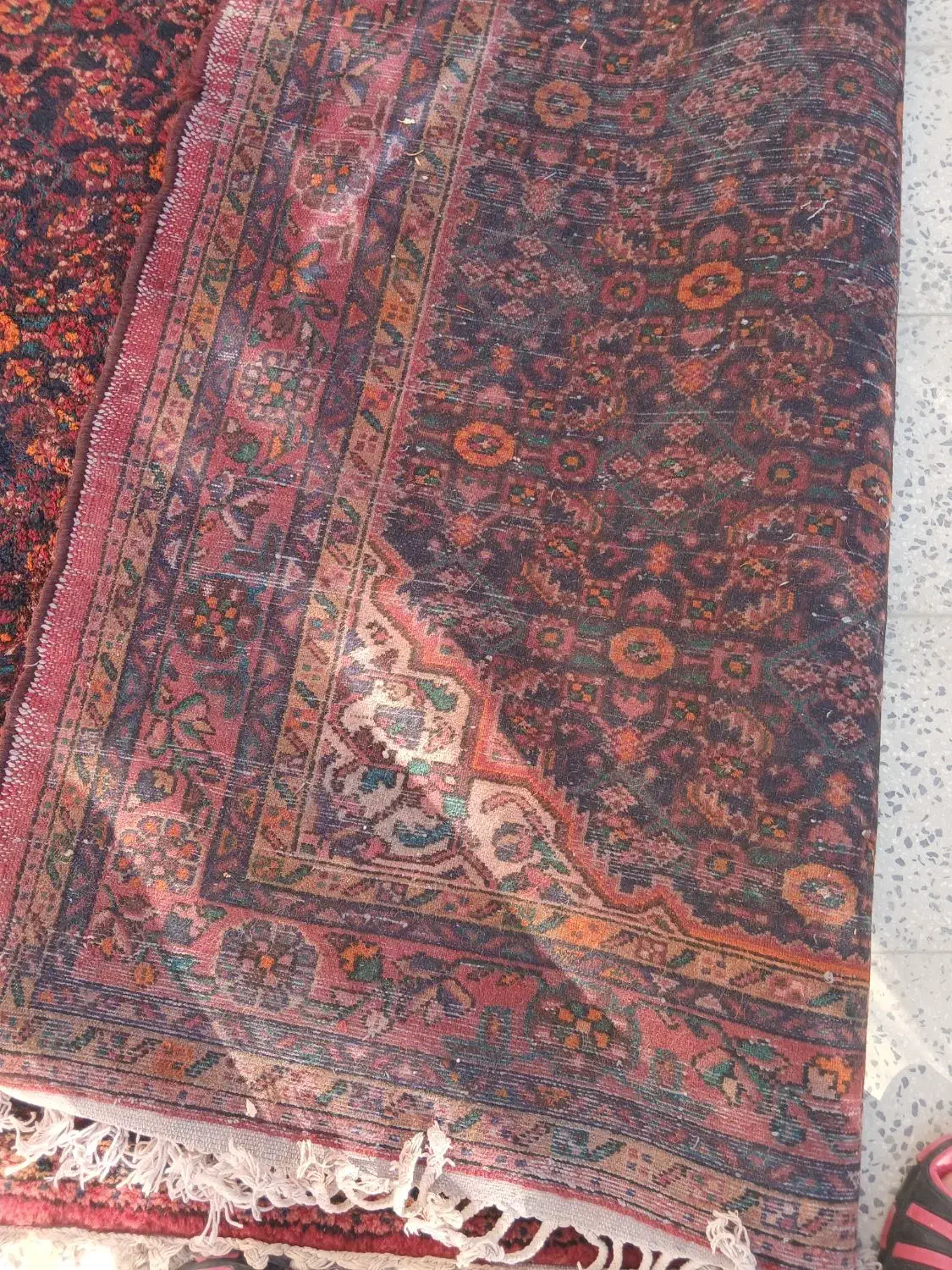 فرش دستبافت|فرش|کبودرآهنگ, |دیوار