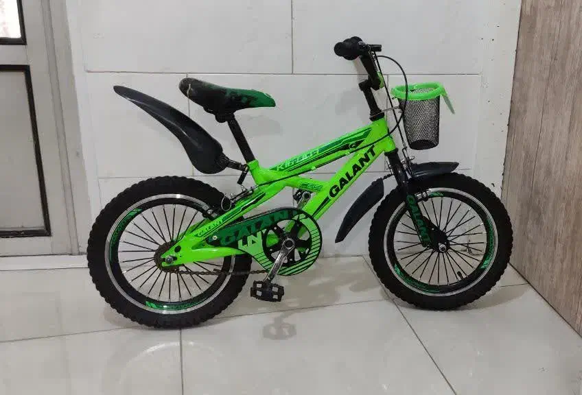 دوچرخه ۱۶|دوچرخه، اسکیت، اسکوتر|ملایر, |دیوار