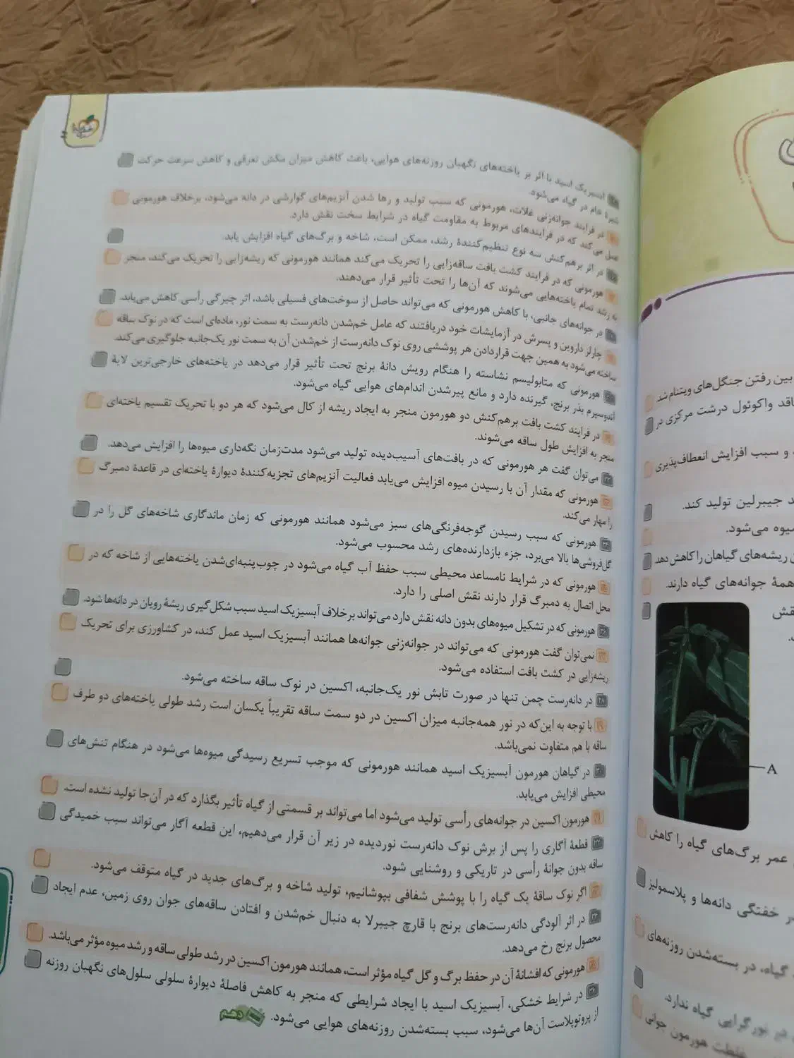 کتاب های کنکور مخصوص کنکور ۱۴۰۵|کتاب و مجله آموزشی|اهواز, کیانشهر|دیوار