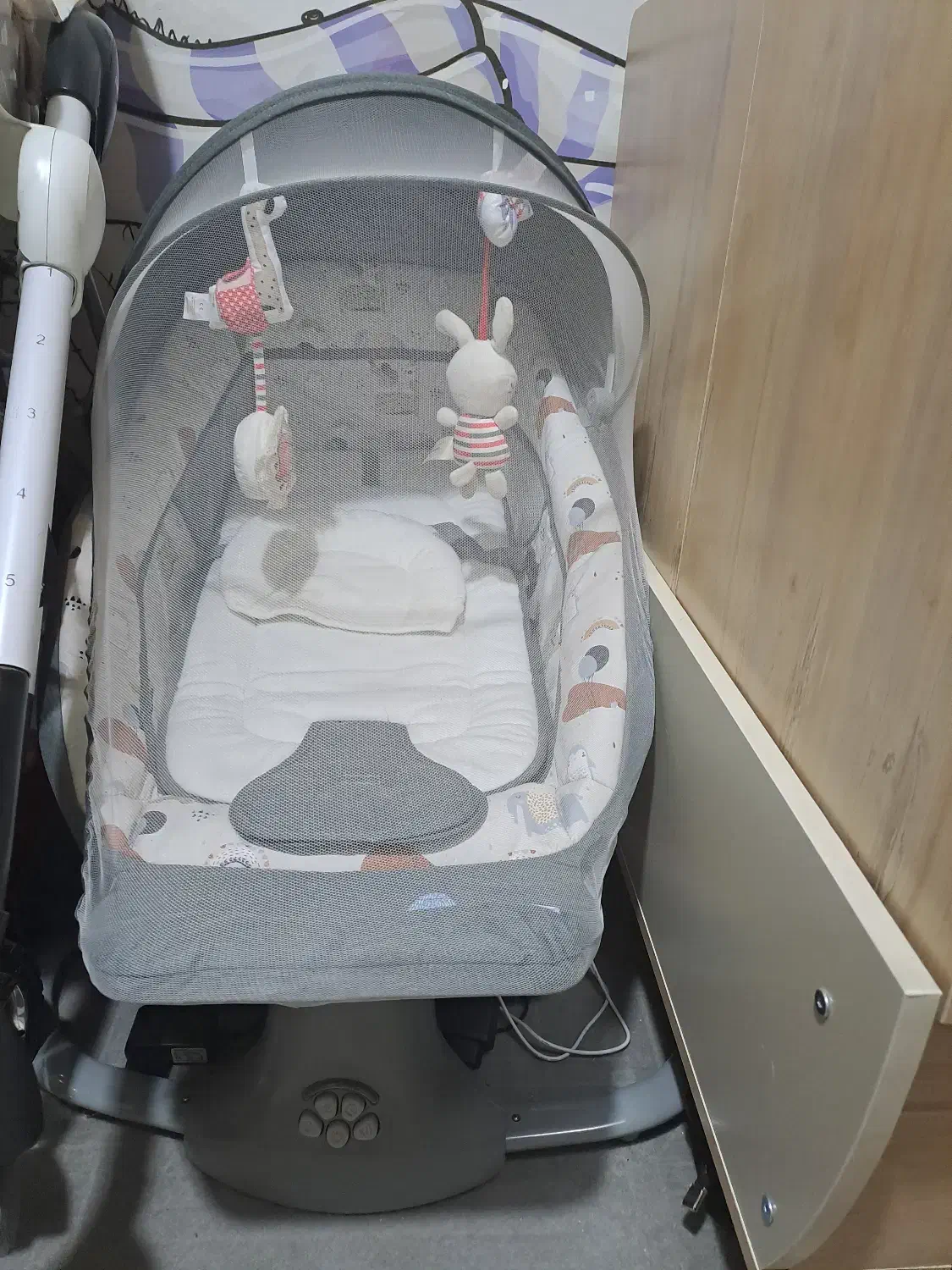 نی نی لای لای|اسباب و اثاث بچه|پاکدشت, پاکدشت (مامازند)|دیوار