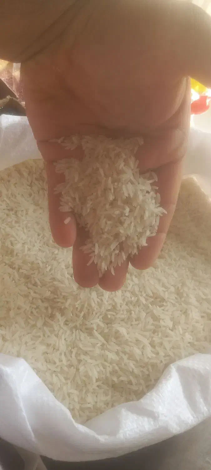 برنج استانه اشرفیه|خوردنی و آشامیدنی|اردبیل, |دیوار