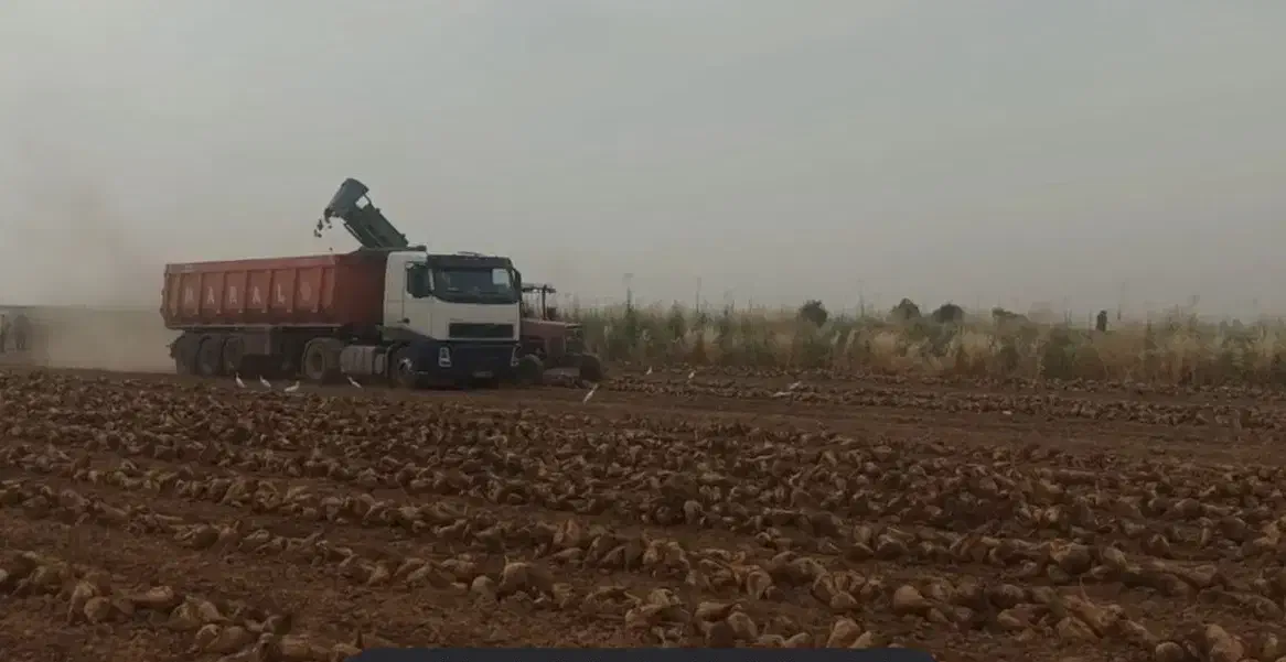 راننده پایه یک|استخدام حمل و نقل|خوی, |دیوار