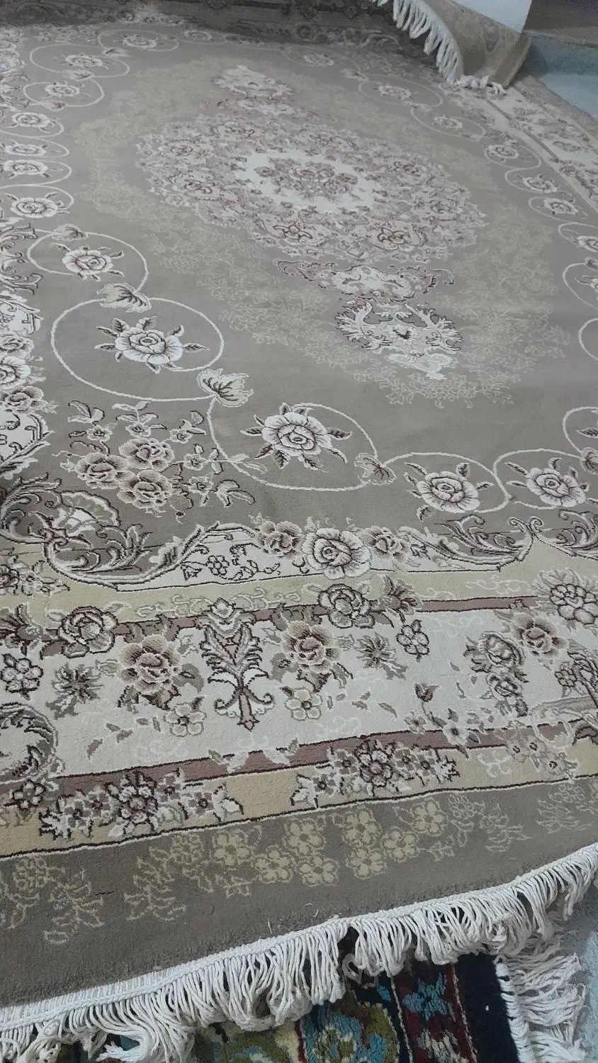 ۵۸۰۰|فرش|سبزوار, قصبه غربی|دیوار