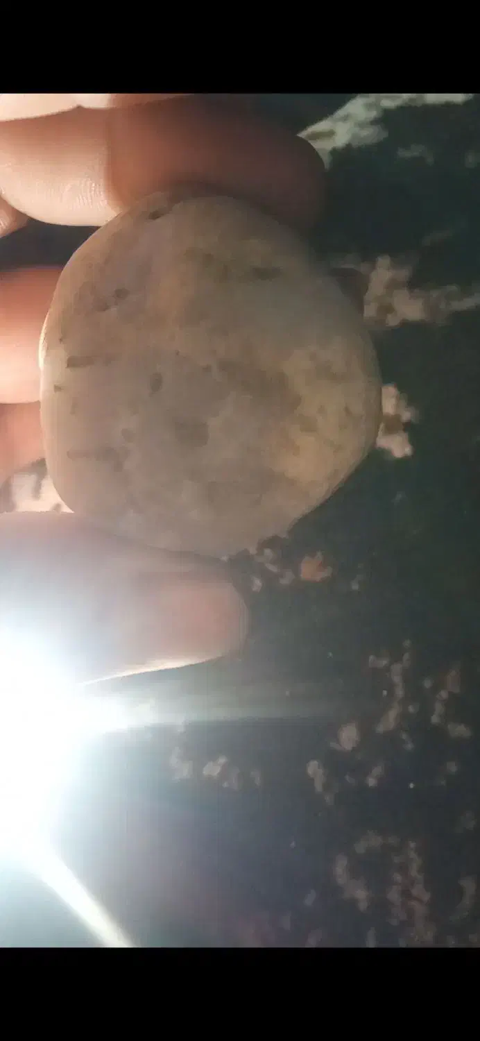 سنگ آنتیک و خاص|جواهرات|مشهد, سجاد شهر|دیوار